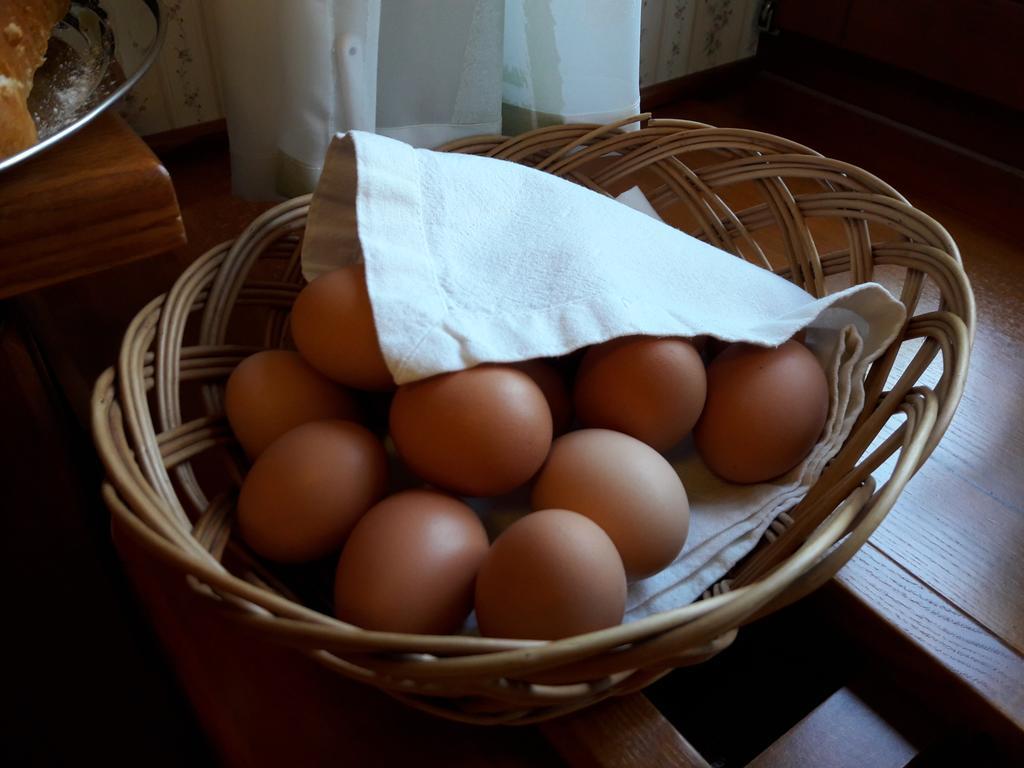Elisabeth Pension スピンドレルフ・ムリン エクステリア 写真